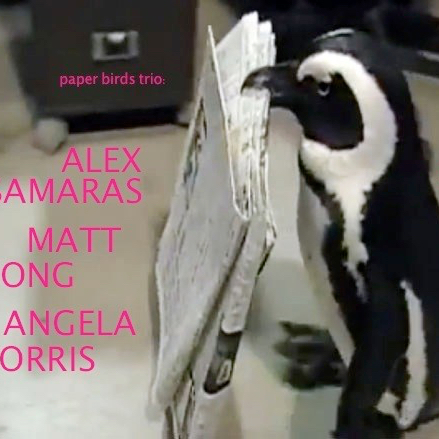 domestic-penguin_6_1425404a copy