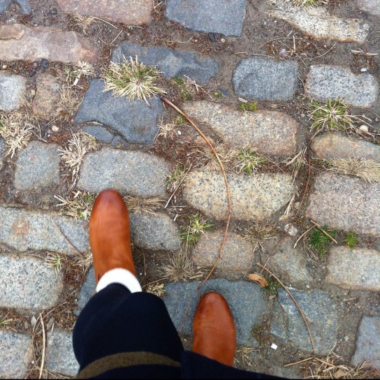 a path... (East River Park in Williamsburg)