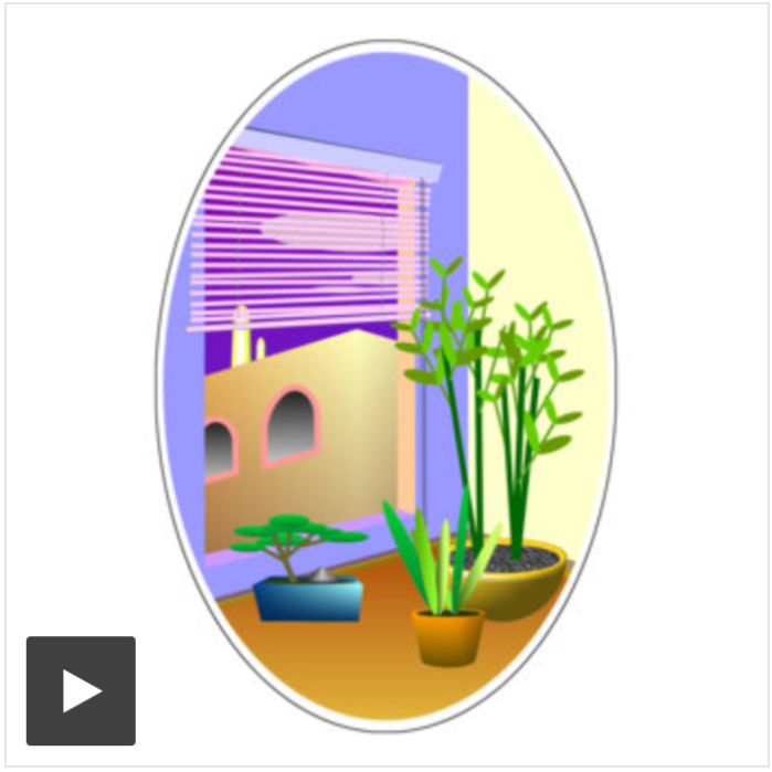 Screen Shot 2018-11-25 at 6.15.00 PM